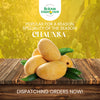 Buy Chaunsa Mango Online: Enjoy the Irresistible Taste of Pakistani Chaunsa Mangoes