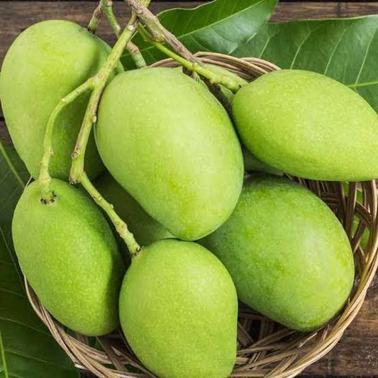 Multan's Azeem Chaunsa Mango (From 25th August)