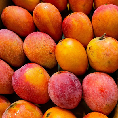 Multan's Lal Badshah Mango (From 1st August)